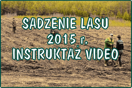 Sadzenie - video