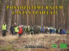 Las Jana Pawła II rośnie